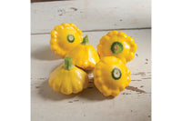 Y-Star – Organic Patty Pan Squash Seeds