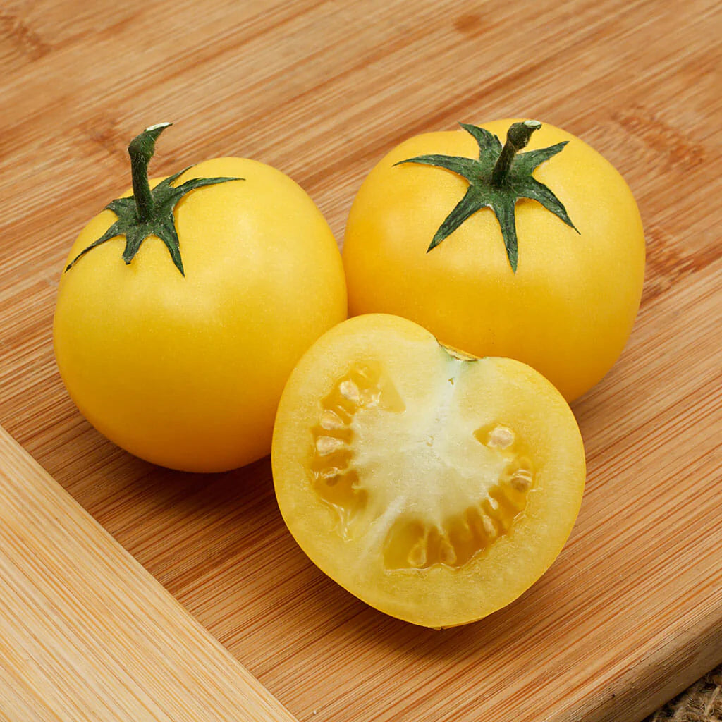 Tomato- Yellow Perfection