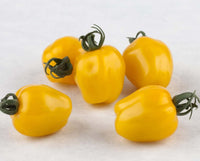 Apple Yellow – Tomato Seed