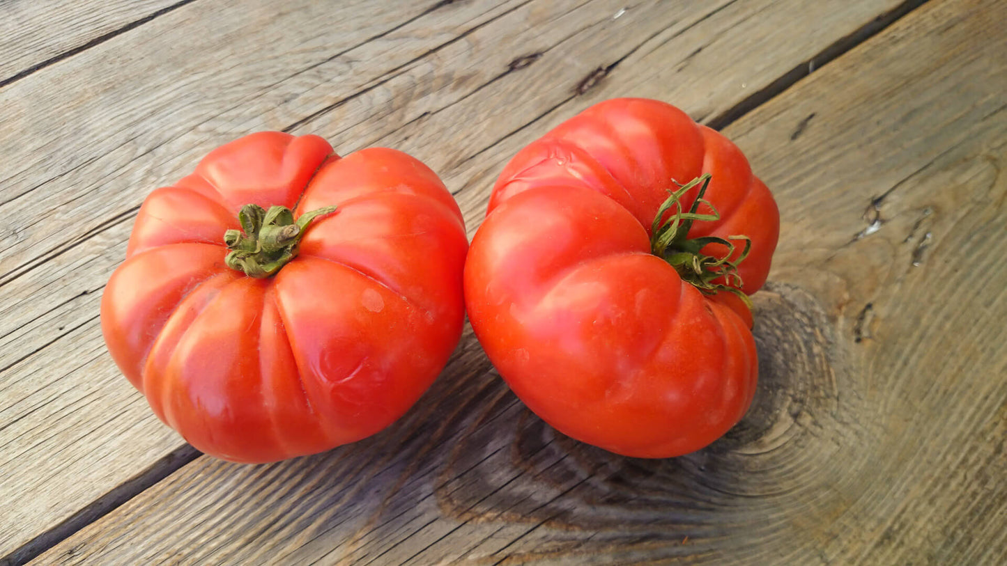 Tomato- Rouge De Marmande