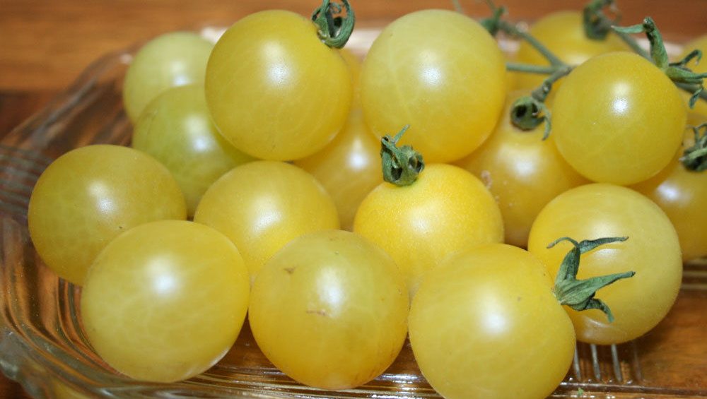 White Cherry – Organic Tomato Seed