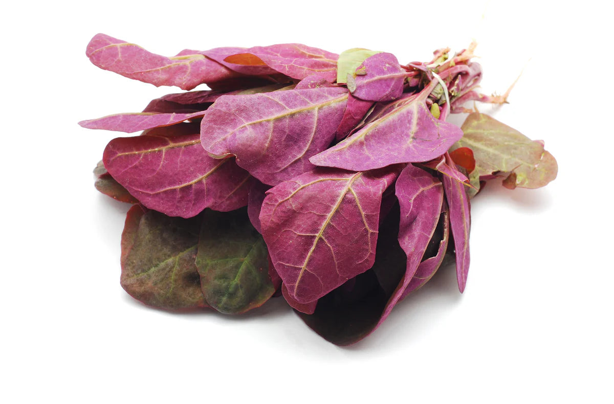 Orach- Fire Red