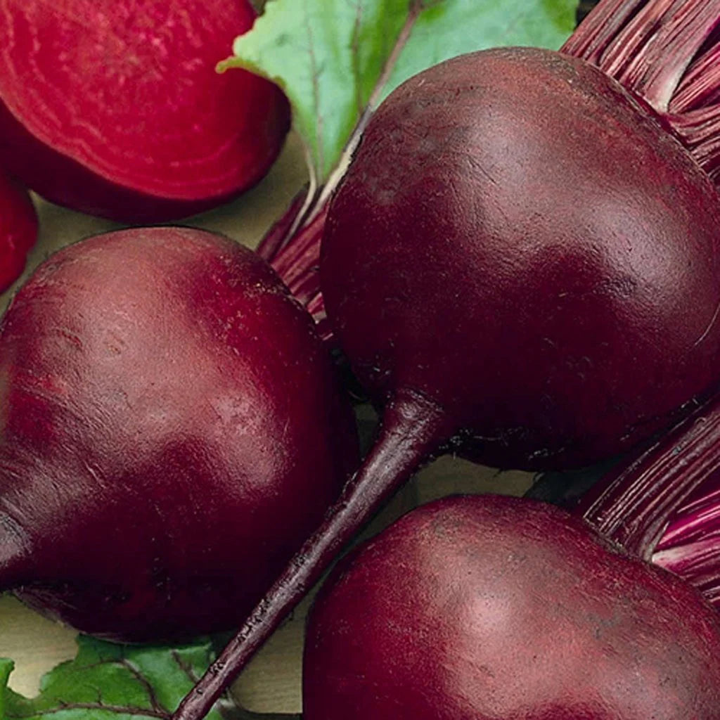 Beetroot- Egyptian Turnip Rooted