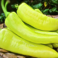 Capsicum- Sweet Banana