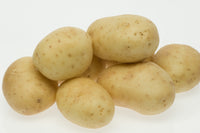 Certified Seed Potato- White Star