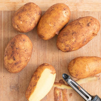 Certified Seed Potato- Dutch Cream