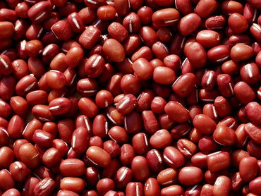 Adzuki Bean