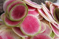 Radish- Watermelon