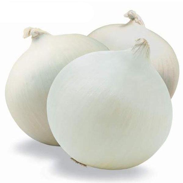 White Onion Seeds Kitchen Seasoner Organic Vegetable Seeds