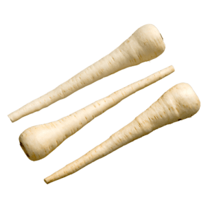 White Spear – Parsnip Seed