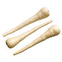 Albion – Parsnip Seed