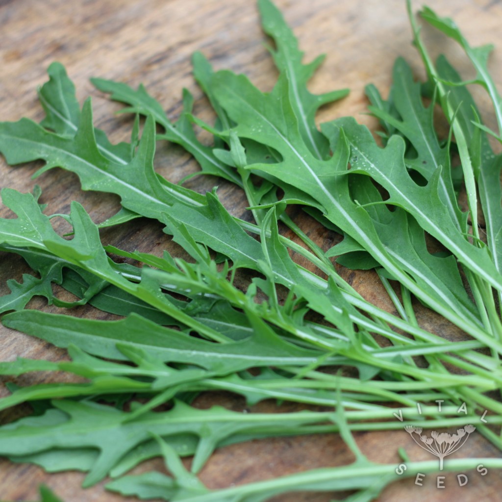 Peas Vegetable Seeds