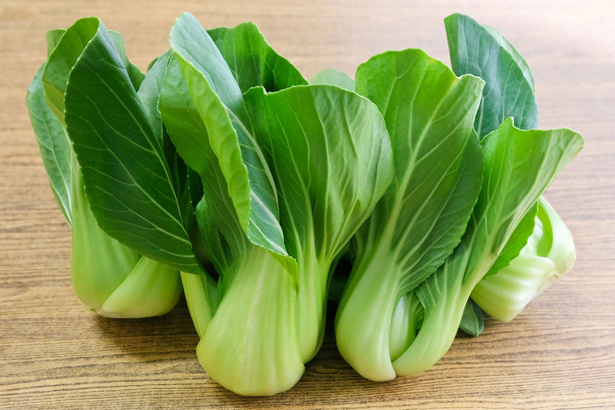 Win-Win Choi – Bok Choy Seeds