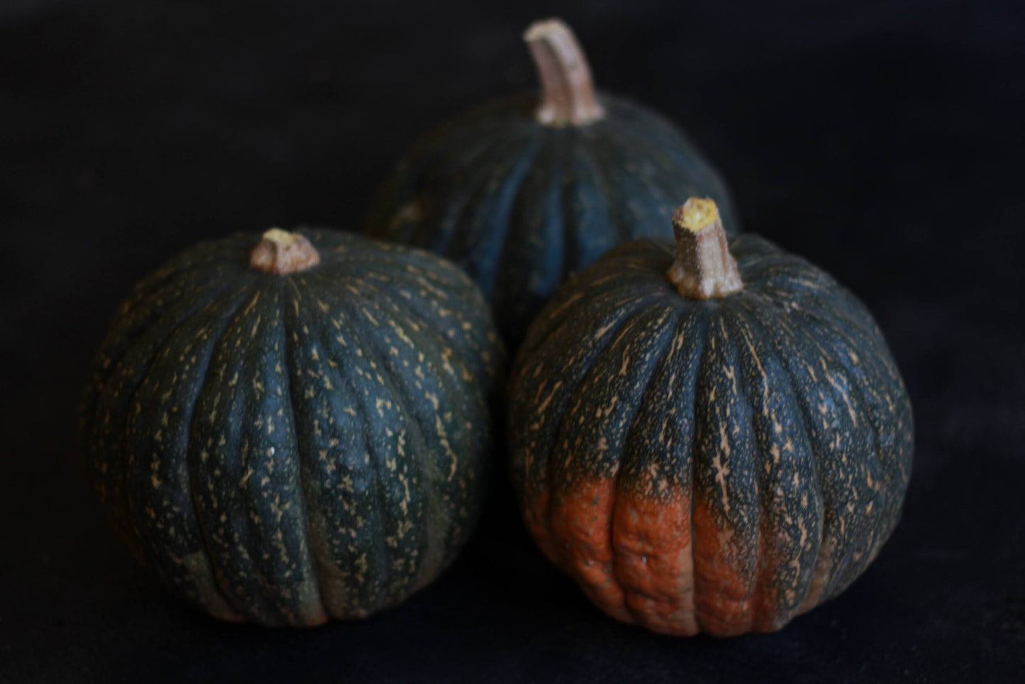 Tetsukabuto – Hubbard Squash Seed