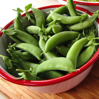 Sugarsnap Pea- Cascadia