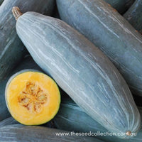 Winter Squash- Guatemalan Blue Banana 25g