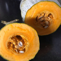 Winter Squash- Guatemalan Blue Banana 25g