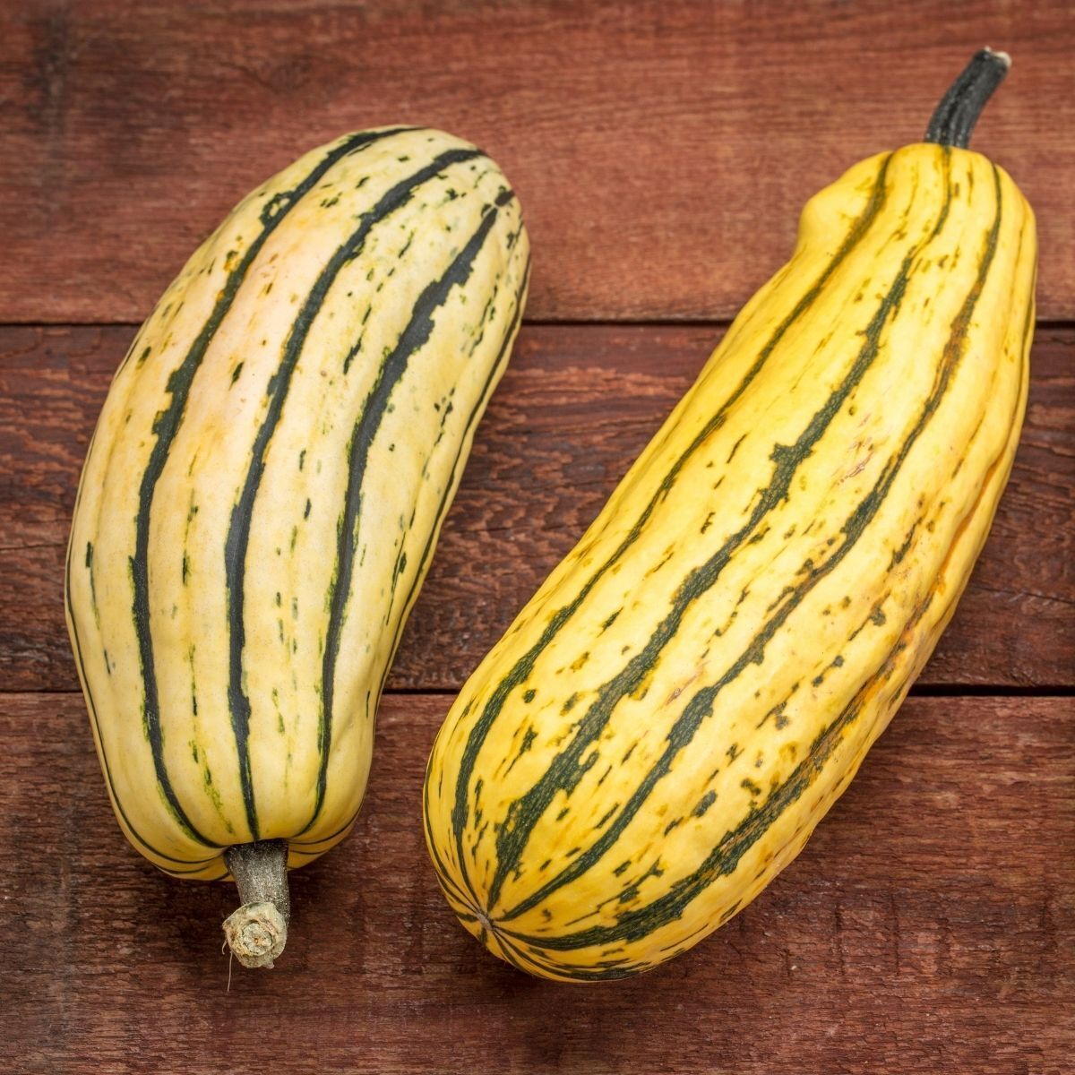 Winter Squash- Delicata 25g