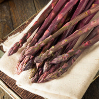 Asparagus- Purple (Crown)