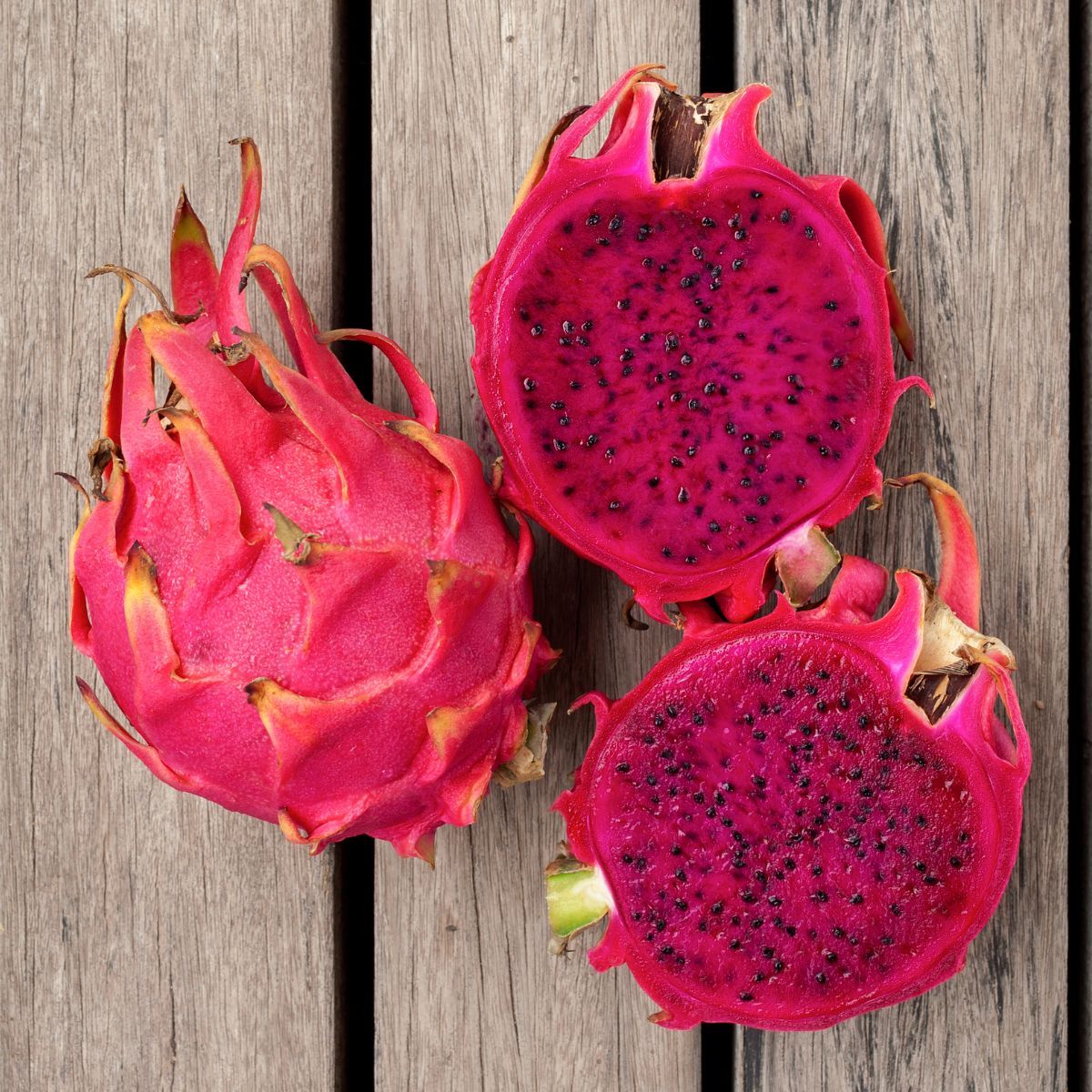 Dragon Fruit- Zamorano (Cutting)