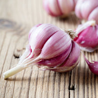 Garlic- New Zealand Red ()