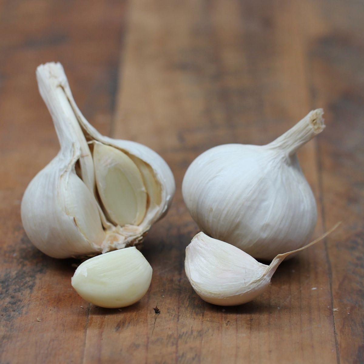 Garlic- Kangaroo Island White ()