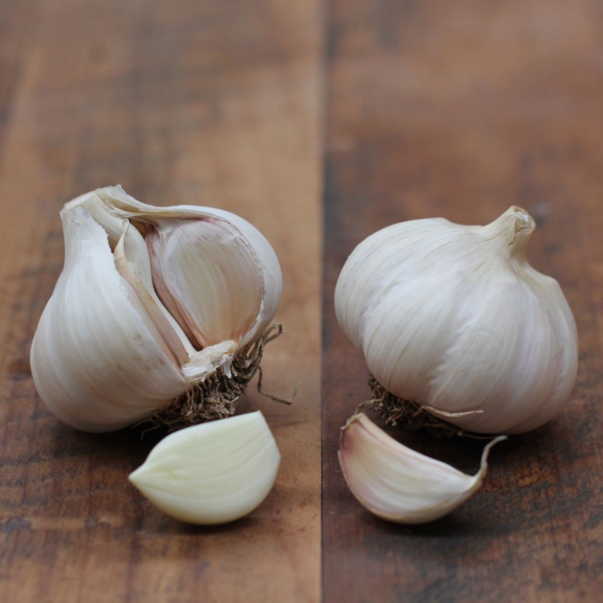 Garlic- Hillston ()