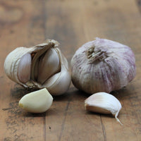 Garlic- Australian White ()