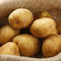 Certified Seed Potato- Coliban