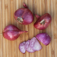 Red Shallot ()