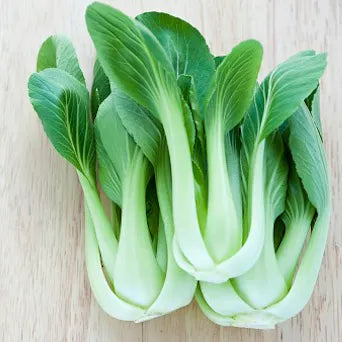 Cabbage, Chinese- Pak Choi - Kwang Moon