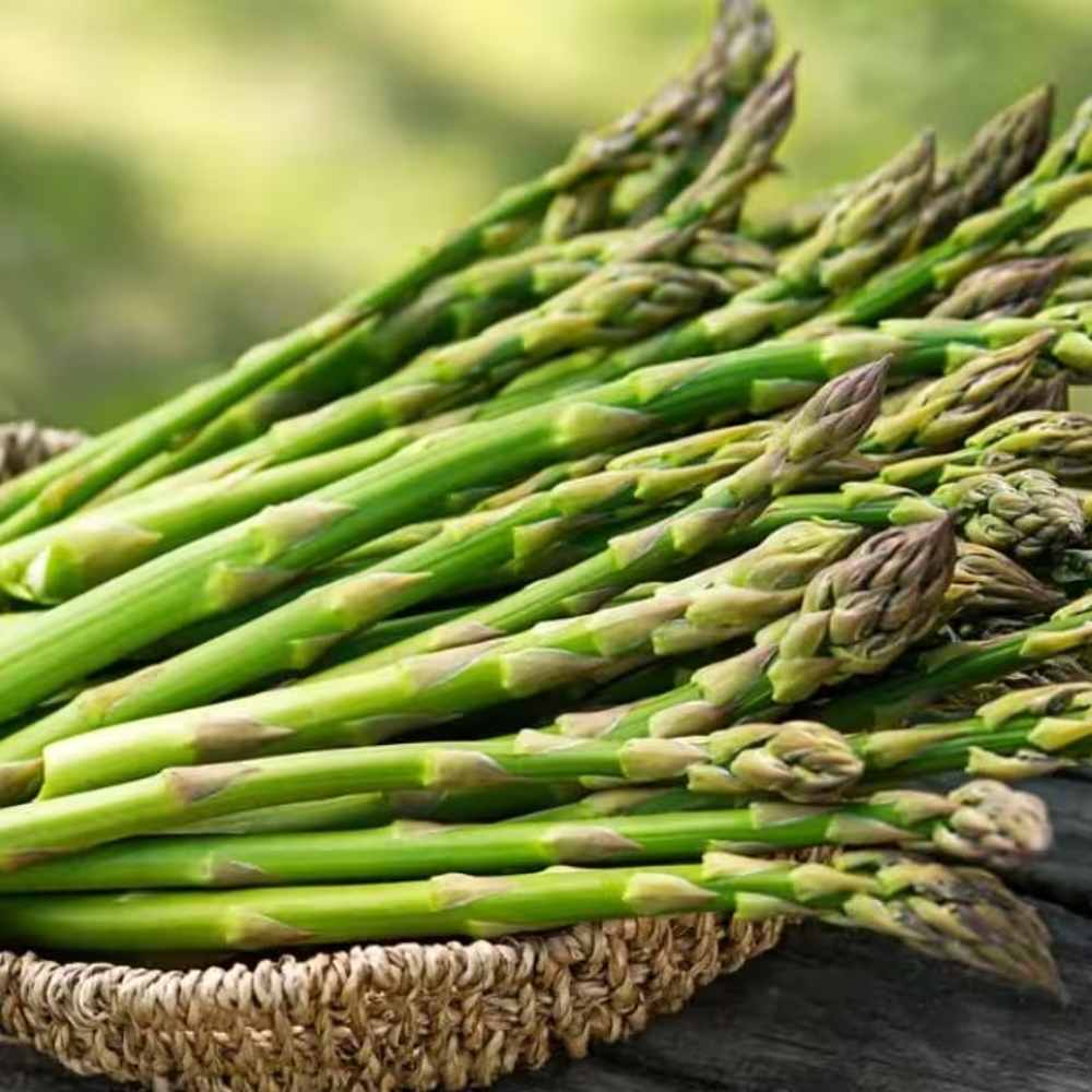 Asparagus Vegetable Seeds