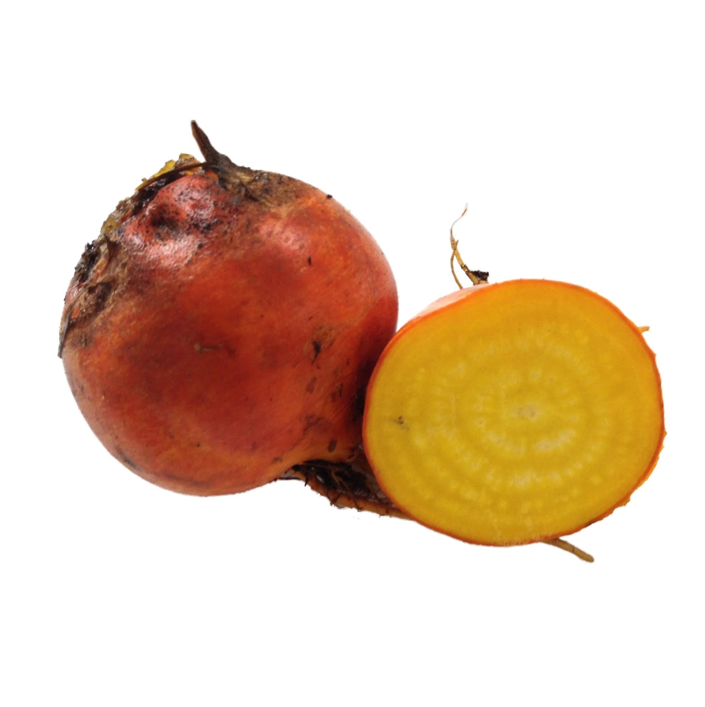 Beetroot- Golden Globe