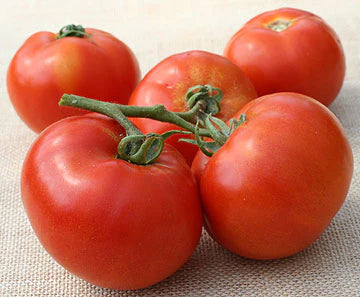 BHN 589 – Tomato Seed