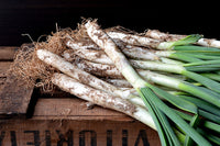 Onion- Calcot