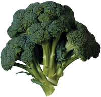 Broccoli- Albert