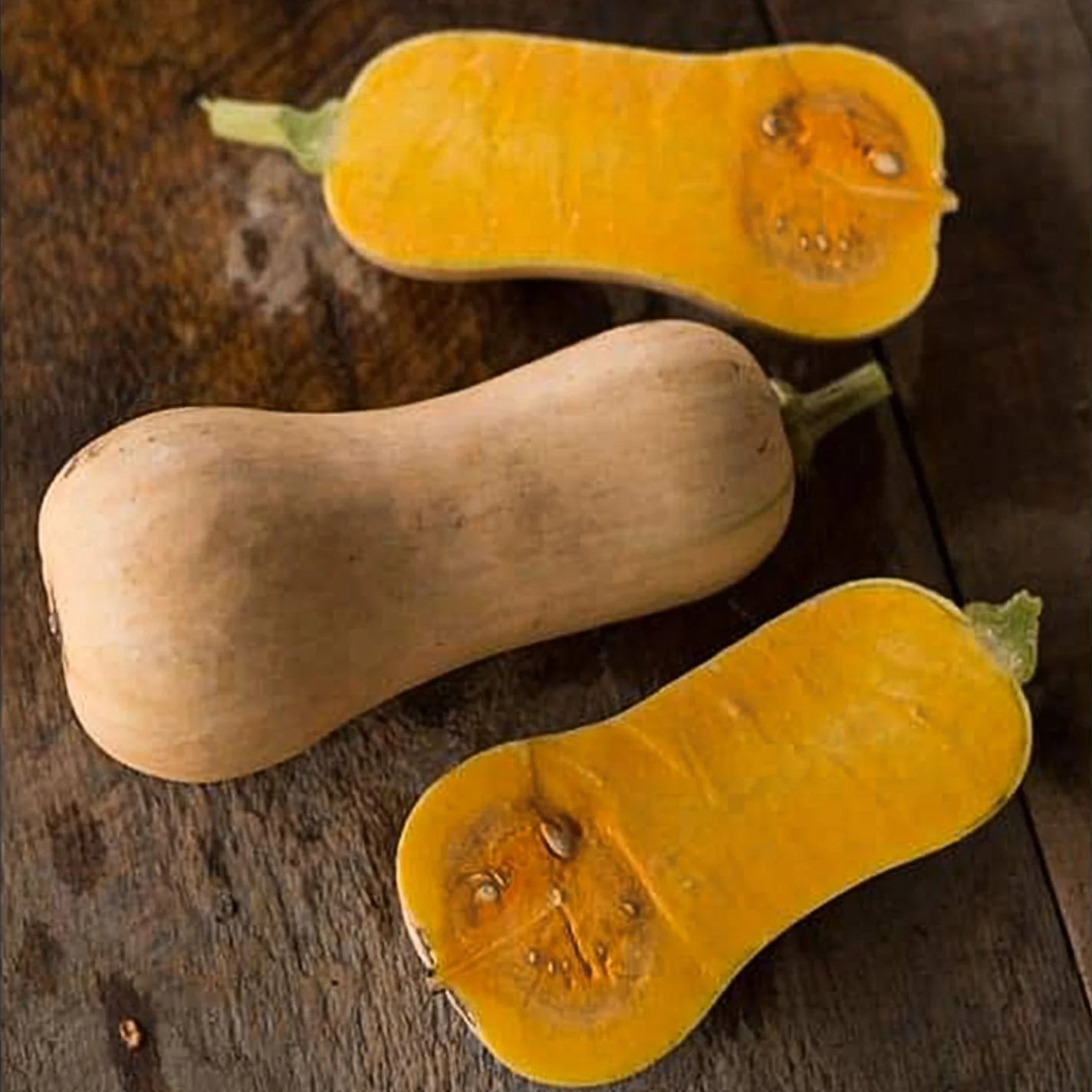 Waldo PMR – Butternut Squash Seed