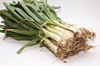 Onion- Calcot