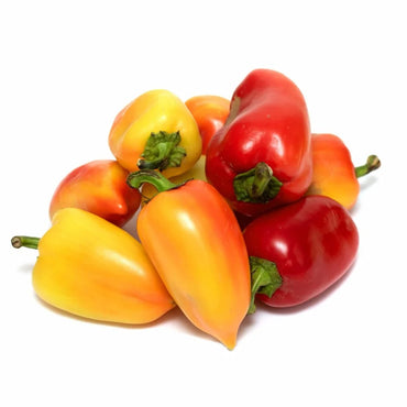 Antohi Romanian – Organic Pepper Seed