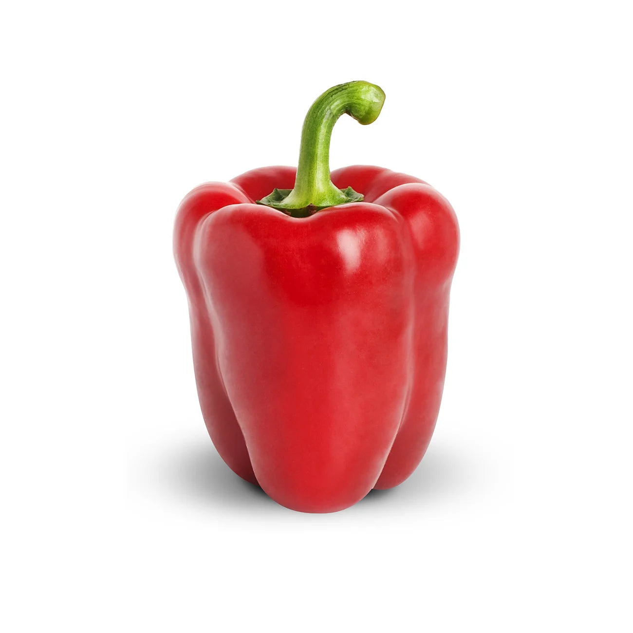 Capsicum- Big Red