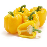 Bellpepper Mini Yellow Imported Vegetable Seeds