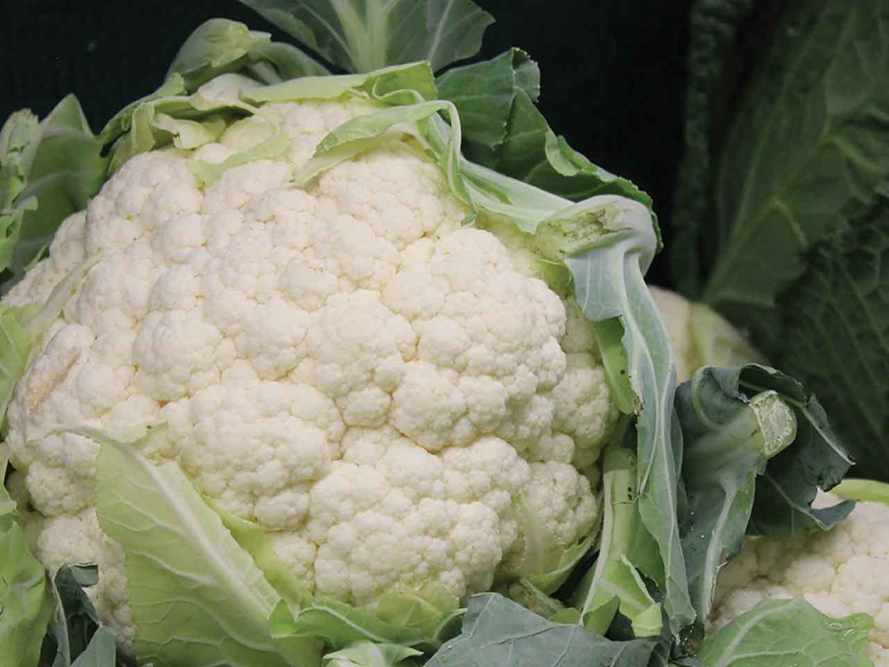 Cauliflower- All Year Round