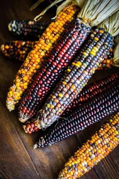 Corn, Maize- Multicoloured Aztec