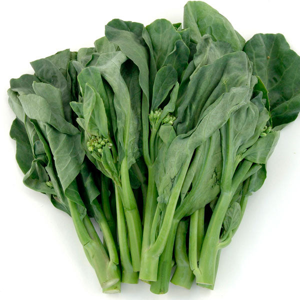 Chinese Broccoli- Hong Kong