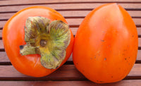 Persimmon- Kaki