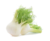 Fennel- Sweet