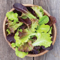 Wildfire Lettuce Mix – Lettuce Seeds