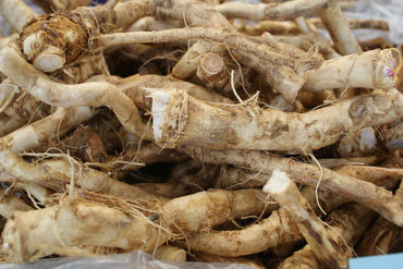 Horseradish (Root)