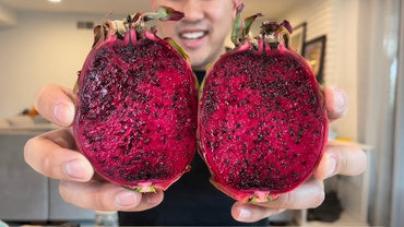 Dragon Fruit- Zamorano (Cutting)