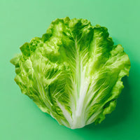 Lettuce- Iceberg